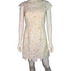 Dolce Vita Lace Dress with Flutter Cap Sleeves